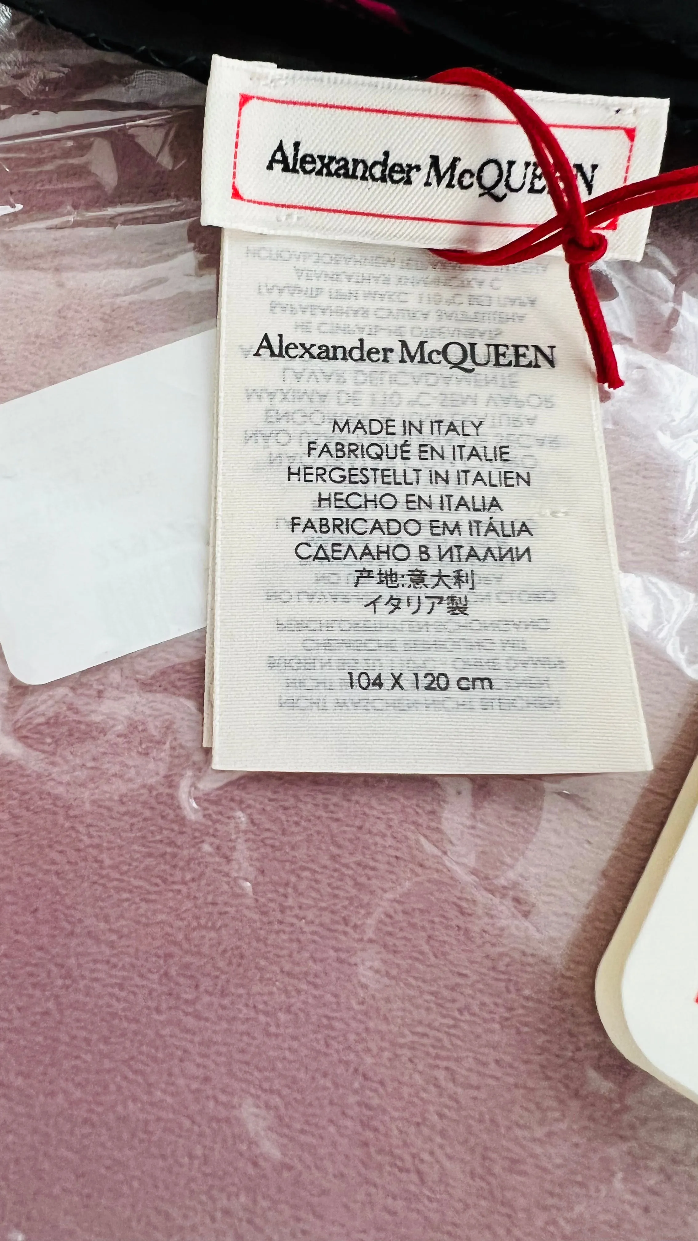 Alexander McQueen Chiffon Scarf